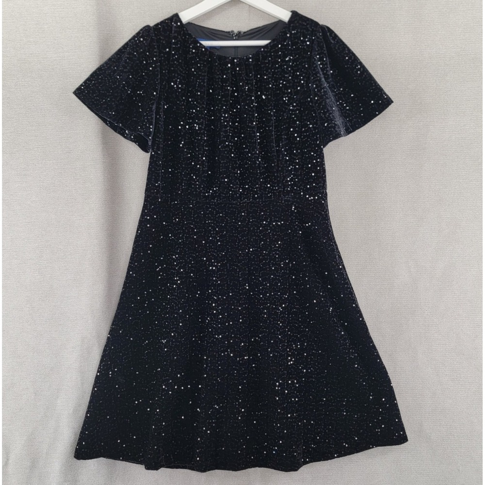 Talbots Womens Dress Velvet Sequins Cocktail Glitter Fit & Flare Size 6 Petite